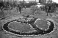 A peace sign garden at All Seasons Park, the proposed site of a Four Seasons Hotel near the entrance to Stanley Park, on May 30, 1971. The protest site was occupied for more than a year by people opposed to the development, until the government scrapped the plan.Gordon Sedawie/Province