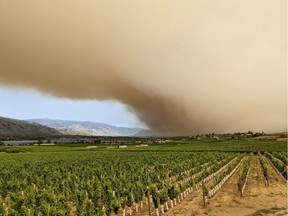View of wildfire smoke passing through the South Okanagan region, taken from Burrowing Owl Winery near Oliver on July 20, 2021 in an image obtained from social media.
