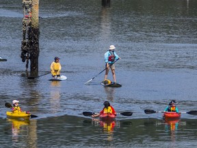 Paddle boarders and kayakers out in the water in Port Moody.