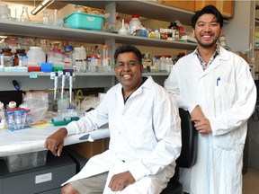UBC medicine professor Jayachandran Kizhakkedathu who, with Danial Luo (right) and his team at the Centre for Blood Reseearch and Life Sciences Institute developed a polymer that substantially diminished rejection of transplants, potentially eliminating the need for drugs, at his UBC lab.