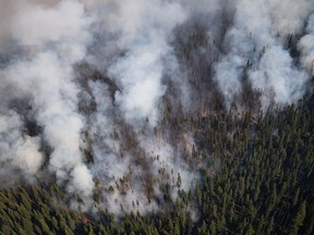 The White Rock Lake wildfire burns west of Vernon, B.C., on Thursday, August 12, 2021.