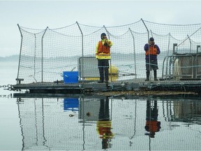 A B.C. fish farm.