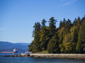 VANCOUVER, BC.  weather autumn shot..(Francis Georgian / PNG) .September 28 2018. , Vancouver, September 28 2018. Reporter: ,  ( Francis Georgian  /  PNG staff photo)  ( Prov / Sun News ) 00054790A [PNG Merlin Archive]