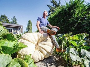 Ian Robinson with the giant pumpkin he has grown for the Giant Pumpkin Contest this weekend at the Saanich Fair.