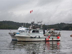 A fishing boat for Skipper Otto, a community supported fishery.