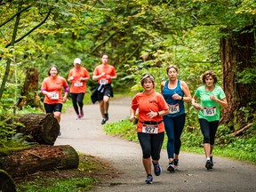 The inaugural Rainforest Trail Run in 2019 drew about 400 participants.