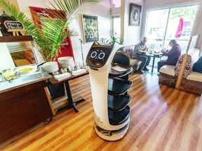 Robbie the robot delivers food to tables at Mantra restaurant on Fort Street in Victoria.