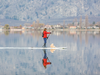 Destination_Osoyoos_Paddle