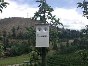 A pheromone delivery module in B.C. field trials by Semios, for insecticide-free insect management.