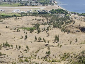 The Penticton Airport runway can be seen alongside Skaha Lake. There are now four airlines offering flights out of the Okanagan city's regional airport.