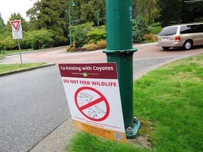 Visitors are put on notice about any notion of feeding wildlife in general, and coyotes in particular, in Stanley Park on Wednesday.
