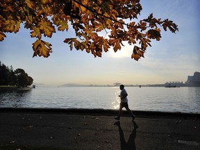 Fall leaves in Stanley Park.