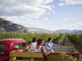 Covert Farms Family Estate offers tours of the 57-hectare property in a cherry-red vintage '52 Mercury truck.