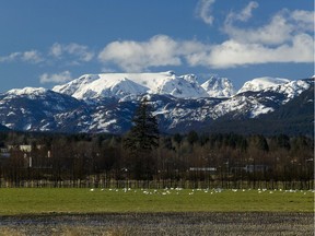 The Comox Valley's most photographed trademark, the Comox glacier or Queneesh as it is known in the local K'omoks first nation language. Pictured in 2007.