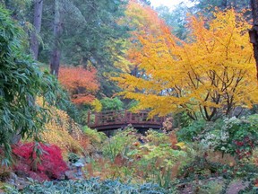 The Horticulture Centre of the Pacific has enjoyed the support of the Victoria Horticulture Society.