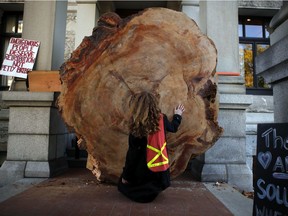 A 1200-year-old slice of old growth known as a cookie blocks an entrance in the west wing where the Premier's office is located while MLA's sit in the legislative assembly to debate. Since the start of the pandemic all 87 members are allowed to sit in the house at legislature in Victoria, Monday, Oct. 4, 2021.