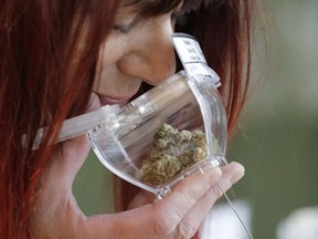 In this Wednesday, Oct. 9, 2019 photo, a customer sniffs a display sample of marijuana, in a tamper-proof container secured with a cable, sold at Evergreen Cannabis, a marijuana retail shop, in Vancouver, B.C.