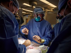 Doctors prepare sutures for use in xenotransplantation surgery at NYU Langone in New York.