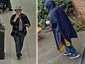 Investigators were able to recently obtain video surveillance and are looking to identify the suspect.