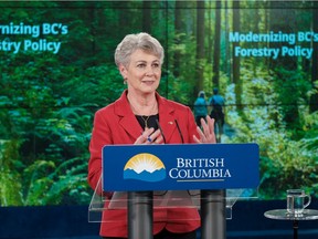 Forests Minister Katrine Conroy Conroy said that forestry policies put in place two decades ago have limited B.C.'s ability to fight climate change and protect old-growth forests.