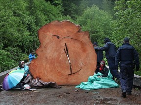 RCMP officers make their way around two protesters chained to a tree stump at an anti-logging protest in Caycuse, B.C. on Tuesday, May 18, 2021.