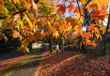 Park goers take in the fall colours at Deer Lake Park in Burnaby, Oct., 10, 2021.