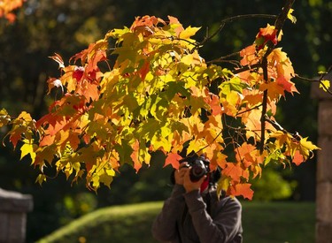 A photo enthusiast takes a picture of the fall leaves in Burnaby, Oct., 10, 2021.