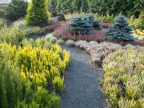 Winter heather is the star of this beautiful garden, designed by David Wilson.