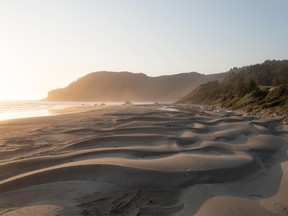 Sand dunes on the Oregon Coast.