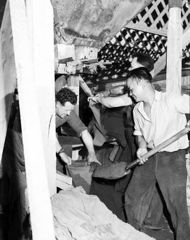 1948 Fraser River Flood - Queensborough - Men work together to fill sandbags. 1948. Vancouver Sun.