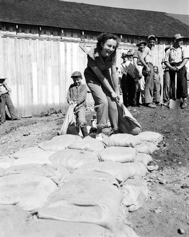 1948 Fraser River Flood - Rosedale - Adolescents watch as a woman and a small boy haul bags of sand. 1948. Vancouver Sun.