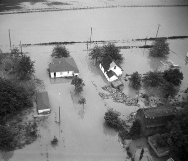1948 Fraser River Flood - Rosedale - Aerial view of flooding around houses and barns. 1948. Vancouver Sun.