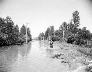 1948 Fraser River Flood - Sumas - Yarrows - Vancouver Sun journalist Paul St. Pierre rides a bicycle down a flooded street. 1948. Vancouver Sun.