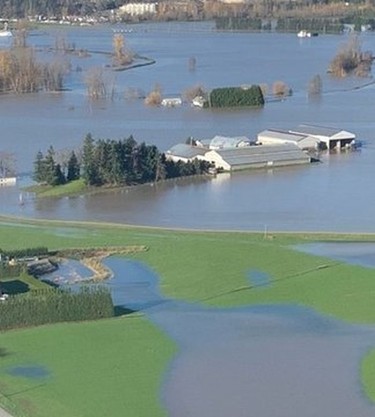 Police Helicopter Air 1 just provided the Emergency Operations Center (EOC) in Abbotsford with some photos of the Sumas Prairie.  Water continues to impact properties.