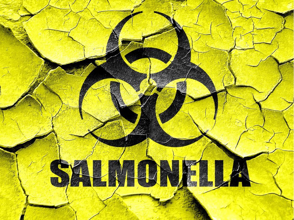 Health Officials Investigating Cause Of Salmonella Outbreak In West   517892332 