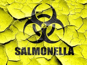 Grunge cracked Salmonella concept background with some soft smooth lines [PNG Merlin Archive]
