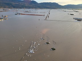 Floating hay bales on a farm in the Fraser Valley Wednesday taken from a  Coquitlam Search and Rescue helicopter.