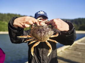 A man holding a crab.