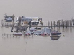 Flood waters surround a farm in Abbotsford, B.C., Tuesday, November 23, 2021.