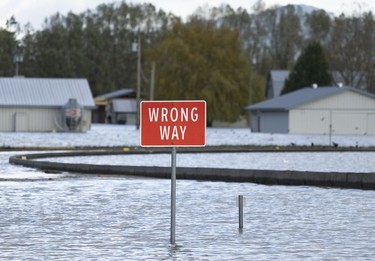 A sign is all that marks a submerged road near a Chilliwack farm on Tuesday. (CANADIAN  PRESS/Jonathan Hayward)