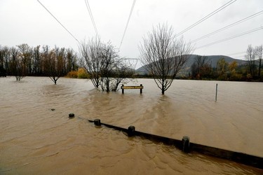 Abbotsford's Hougen Park is seen submerged after rainstorms lashed southern B.C. Nov. 15, 2021.