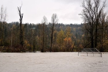 A batting cage in Hougen Park is seen submerged after rainstorms lashed the western Canadian province of British Columbia, triggering landslides and floods, shutting highways, in Abbotsford.