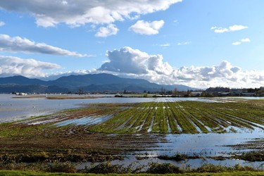 Farms are seen under flood water after rainstorms caused flooding and landslides in Abbotsford, British Columbia, Canada November 16, 2021.  REUTERS/Jennifer Gauthier