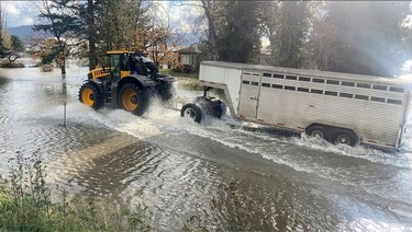 Farmers travel across flood waters to rescue their livestock in Abbotsford, British Columbia, Canada, November 16, 2021,