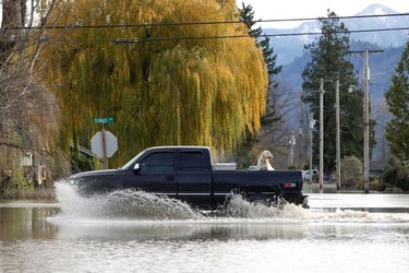 A truck drives along a flooded Sumas Avenue after rainstorms hit both British Columbia and Washington state causing flooding on both sides of the border, in Sumas, Washington, U.S. November 17, 2021.