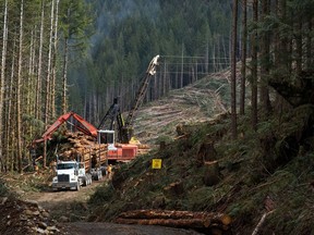 Logging on Vancouver Island.