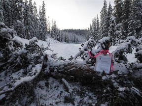 A notice to clear the road from RCMP sits in a tree fell across the road block access to Gidimt'en checkpoint near Houston B.C., on Wednesday January 8, 2020. The Wet'suwet'en peoples are occupying their land and trying to prevent the Coastal GasLink pipeline from going through it.