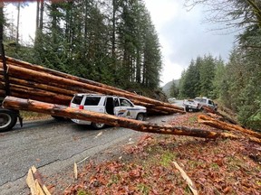 Aftermath of accident on Vancouver Island, near Port Renfrew, on Tuesday, Nov. 9, 2021. Two police trucks travelling together came around a corner on the narrow Pacific Marine Road and one was hit by the logging truck. The truck lost part of its load, which hit the second vehicle.