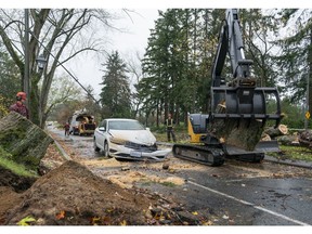 Crews work on clearing a tree that fell on a car driving on University Blvd. after falling during a passing storm cell on Saturday afternoon in Vancouver, BC, November, 7, 2021.