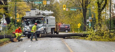A tree fell onto East 12th ave between Fraser and Kingsway as flooding and wind causes major damage in the Lower Mainland, Nov. 15, 2021.